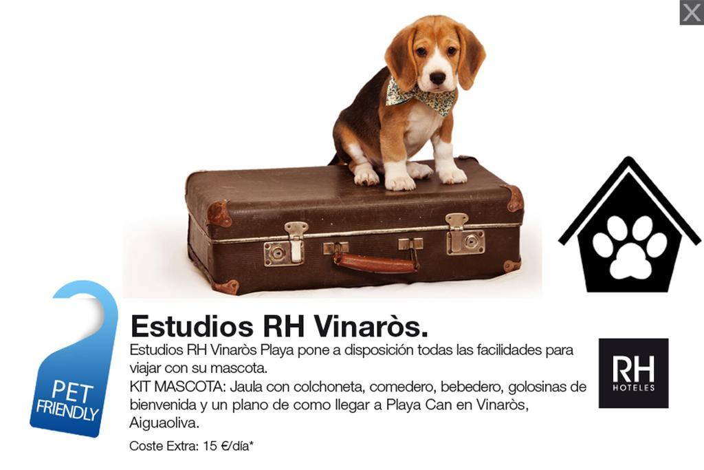 Estudios Rh Vinarós エクステリア 写真